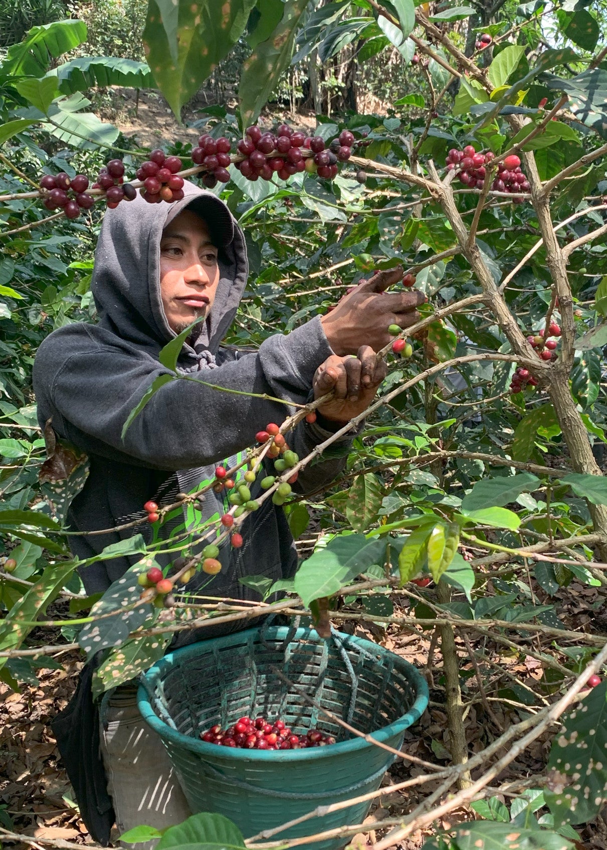 Dawn - Guatemala - Light