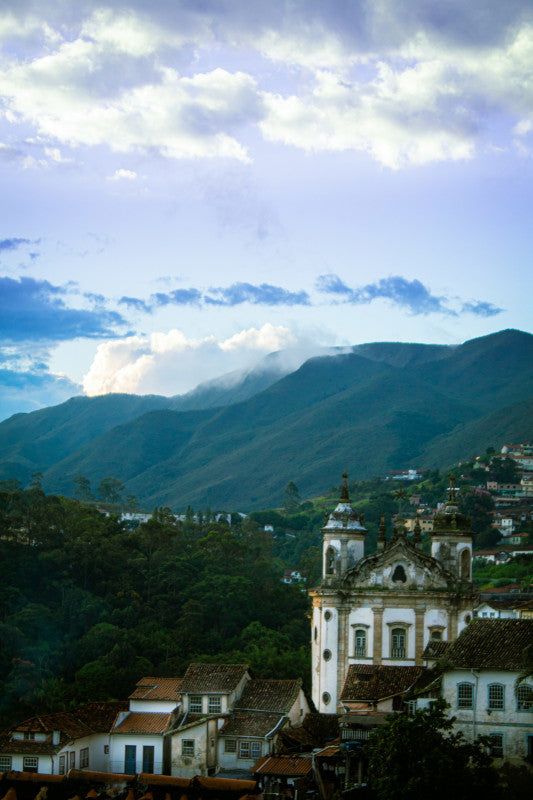 Cerrado - Brazil - Medium