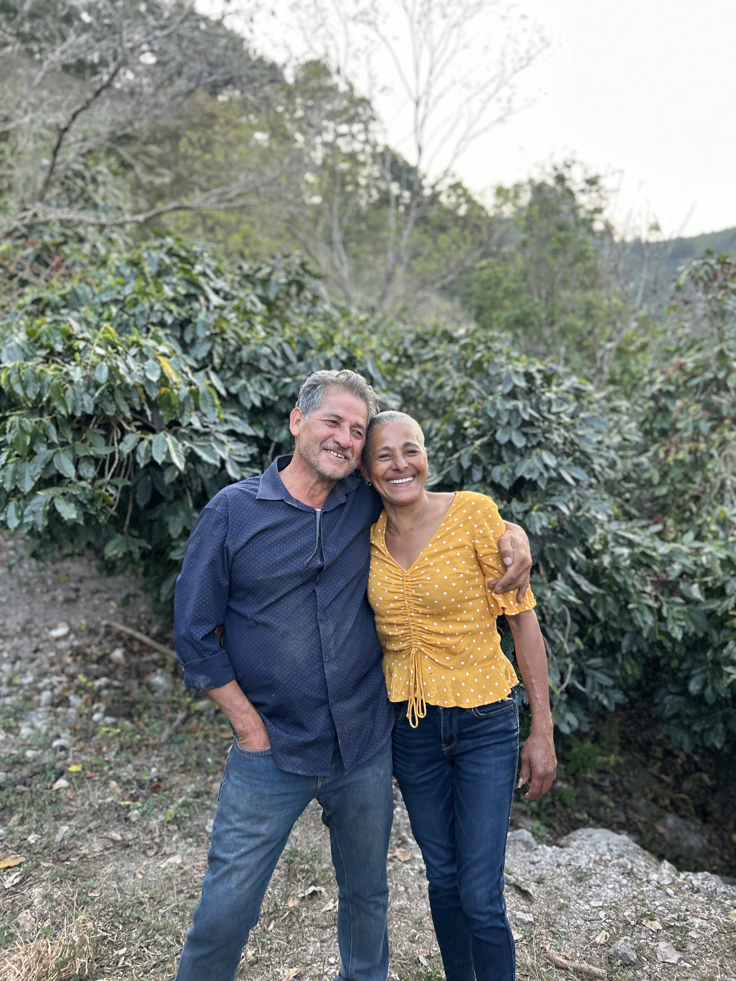 Suenos Decaf - Honduras